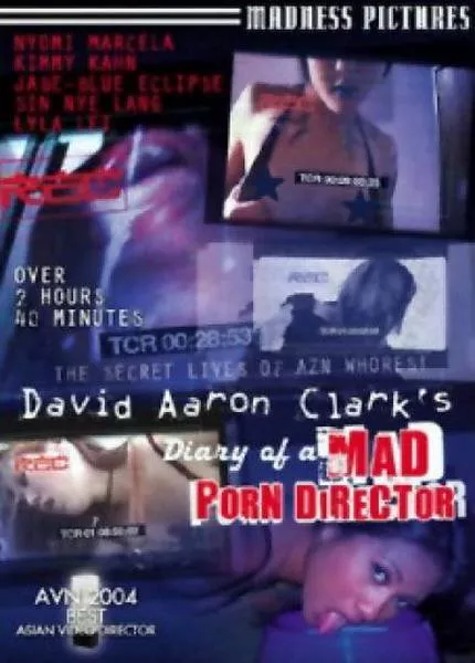 Diary Of A Mad Porn Director - Review Cover